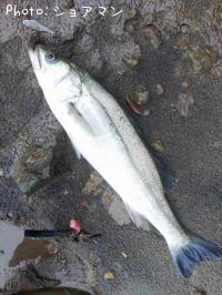 �����Х�