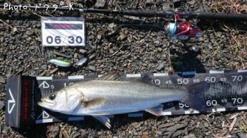 �����Х�