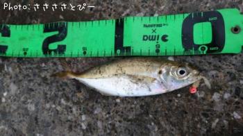 ���������С����亮