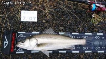 �����Х�