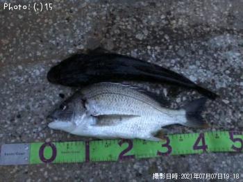 �ޥ��������ӥ�