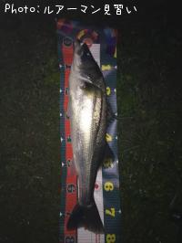 �����Х�