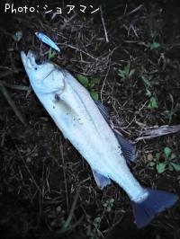 �����Х�