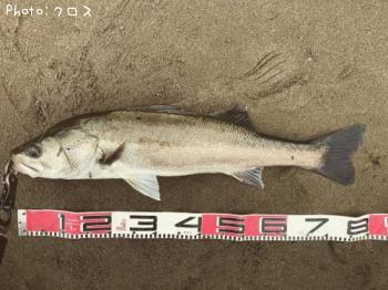 �����Х�