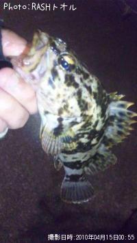 �����Υ���Х�