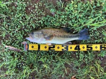 ¥Ö¥é¥Ã¥¯¥Ð¥¹