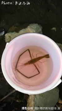 �ƥʥ�����