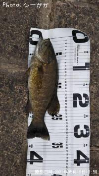 ���⡼��ޥ���