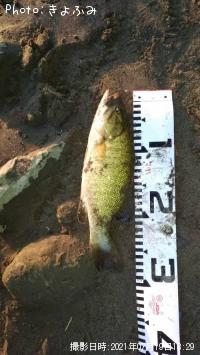 ¥Ö¥é¥Ã¥¯¥Ð¥¹