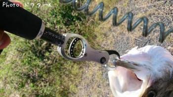 �����Х�