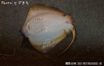 �����Х�