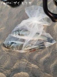 �����Х�