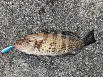 �������ϥ�