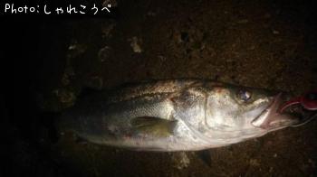 �����Х�