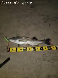 �����Х�