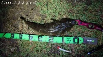 �ޥ������勵�ꥬ�ˡ����ʤ�