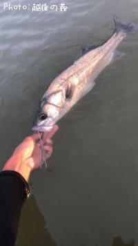 �����Х�