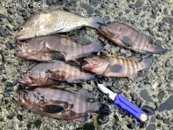 ¥ª¥ª¥â¥ó¥Ï¥¿