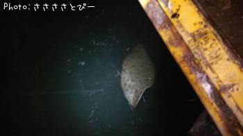 �ޥ���