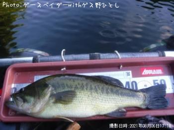 �֥�å��Х�