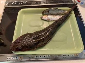 �ޥ���