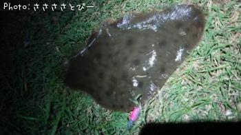 �ޥ���