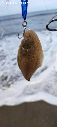 �����ӥ��