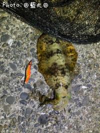 �����ꥤ��