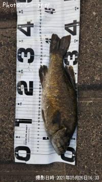 ���⡼��ޥ���