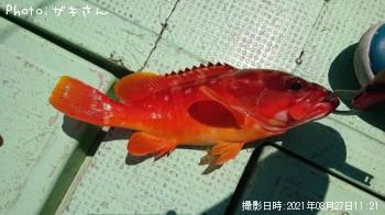 �����ϥ�