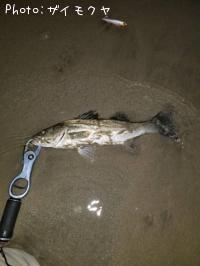 �����Х�