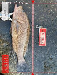 �������ϥ�