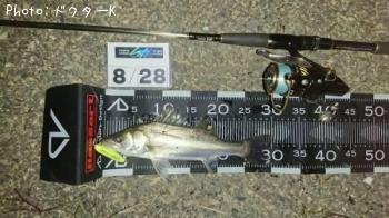 �����Х�