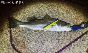 �����Х�