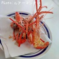 �ƥʥ�����