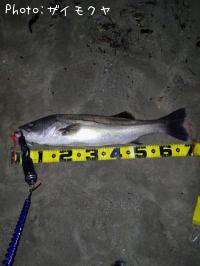 �����Х�