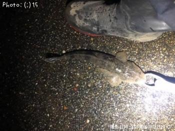 ���ޥ���