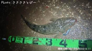 �ޥ��������ʤ�