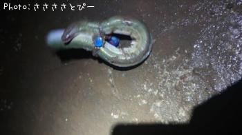 �ޥ��������ʤ�