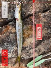 ������󥫥ޥ�