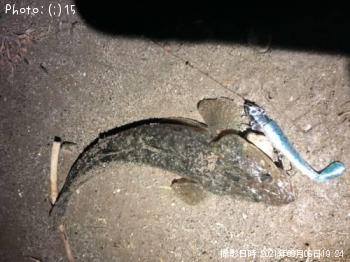 ¥Þ¥´¥Á£²¡¥¥·¡¼¥Ð¥¹£±¡¥¥¥Ó¥ì£±