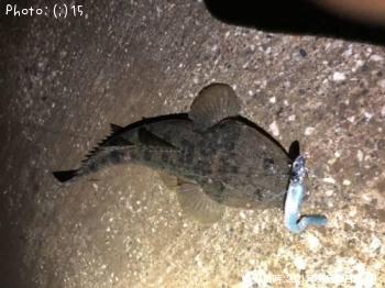 �ޥ��������䡢���ʤ�