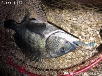 �ޥ��������䡢���ʤ�