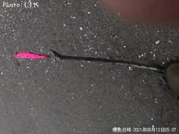 ¥Þ¥´¥Á¡¢¥¦¥ß¥Ø¥Ó