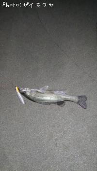 �����Х�