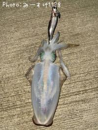 �����ꥤ��