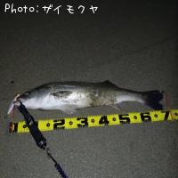 �����Х�