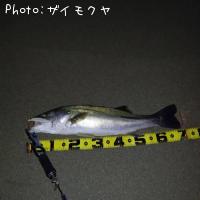 �����Х�