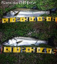 �����Х�