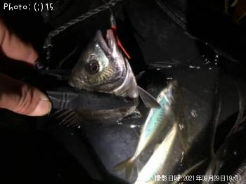 �������������